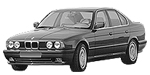 BMW E34 P3289 Fault Code